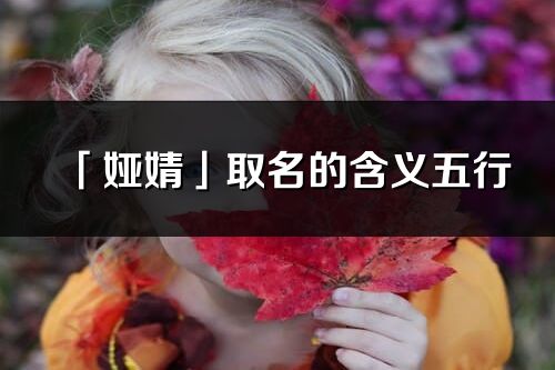 「娅婧」取名的含义五行_娅婧名字寓意解释