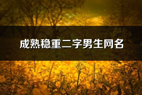 成熟稳重二字男生网名(171个)