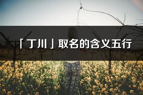 「丁川」取名的含义五行_丁川名字寓意解释