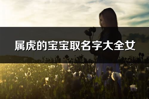 属虎的宝宝取名字大全女