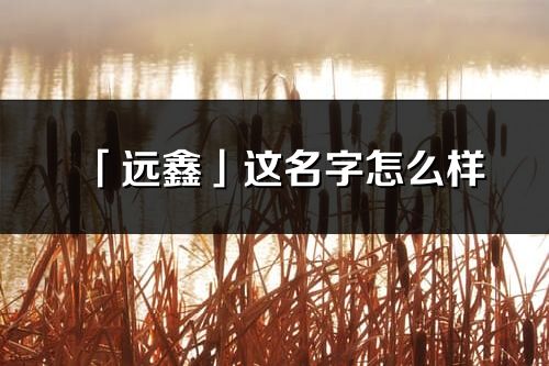 「远鑫」这名字怎么样_远鑫的名字解释