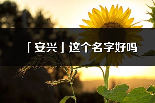 「安兴」这个名字好吗_安兴名字寓意,含义