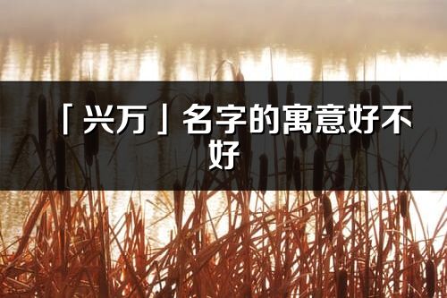 「兴万」名字的寓意好不好_兴万含义分析
