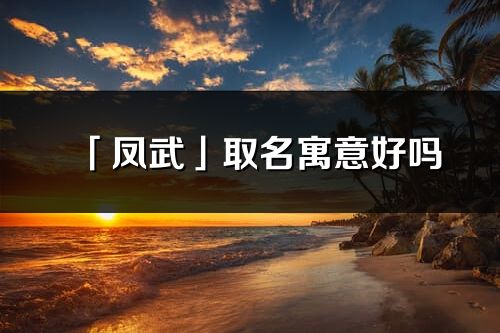 「凤武」取名寓意好吗_凤武名字含义及五行