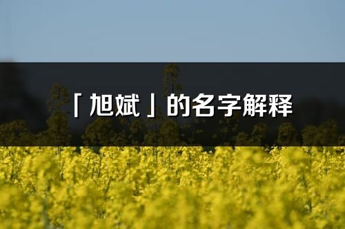 「旭斌」的名字解释_旭斌含义分析