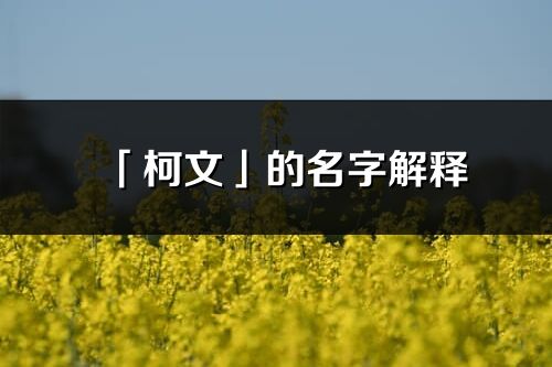 「柯文」的名字解释_柯文含义分析