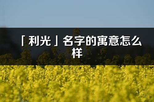 「利光」名字的寓意怎么样_利光的出处