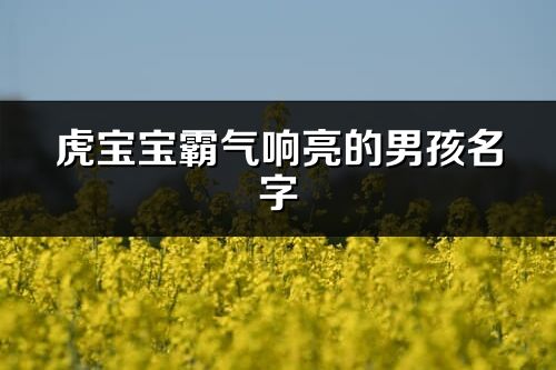 虎宝宝霸气响亮的男孩名字