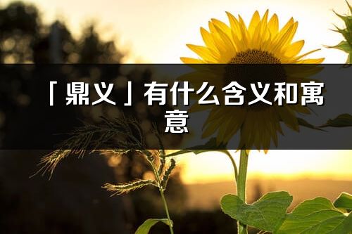 「鼎义」有什么含义和寓意_鼎义名字的出处与意思