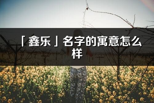 「鑫乐」名字的寓意怎么样_鑫乐的出处