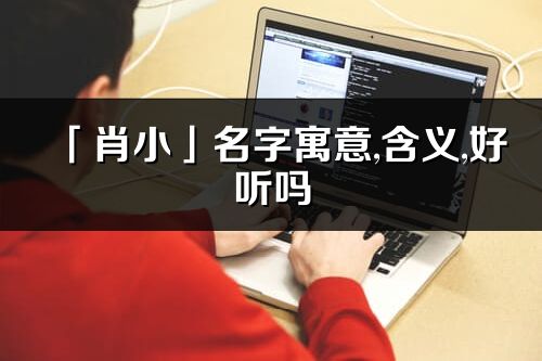 「肖小」名字寓意,含义,好听吗_肖小名字分析打分