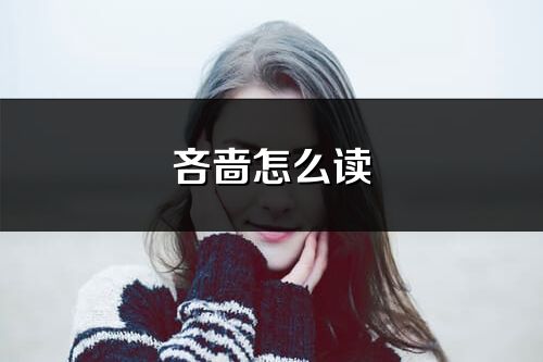 吝啬怎么读_吝啬的读音