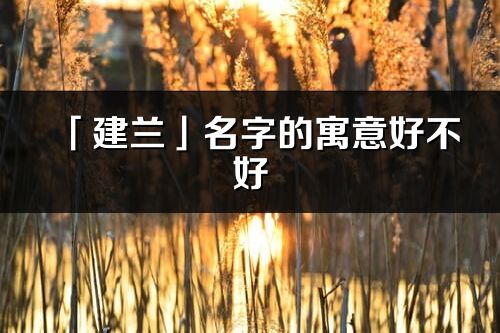 「建兰」名字的寓意好不好_建兰含义分析