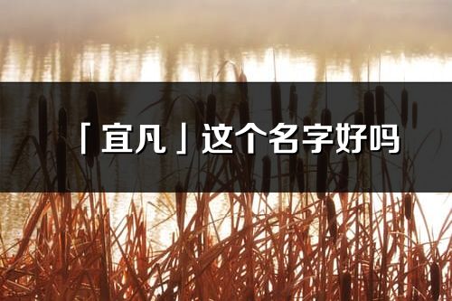 「宜凡」这个名字好吗_宜凡名字寓意,含义