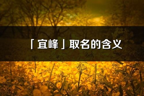 「宜峰」取名的含义_宜峰名字寓意解释