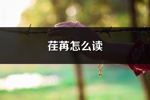 荏苒怎么读_荏苒的读音