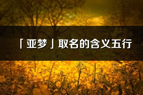 「亚梦」取名的含义五行_亚梦名字寓意解释