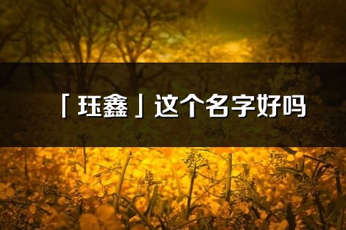 「珏鑫」这个名字好吗_珏鑫名字寓意,含义