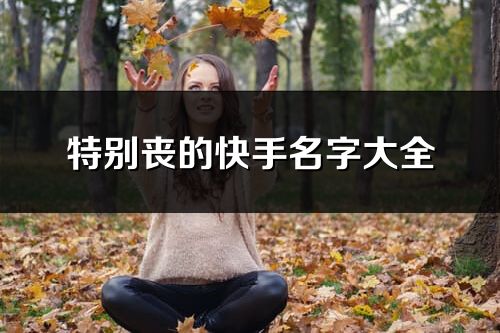 特别丧的快手名字大全(共68个)