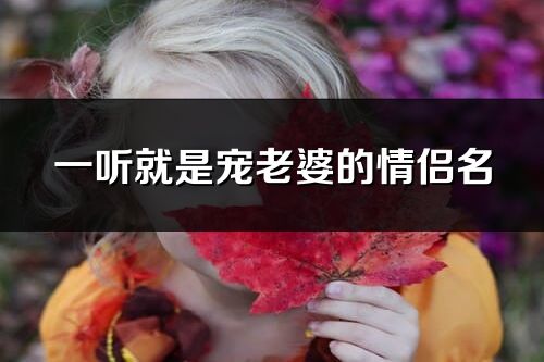 一听就是宠老婆的情侣名(63个)