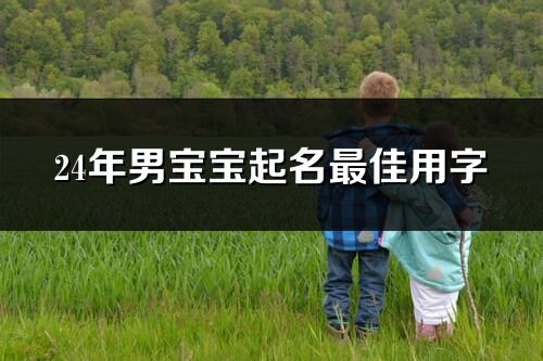 24年男宝宝起名最佳用字