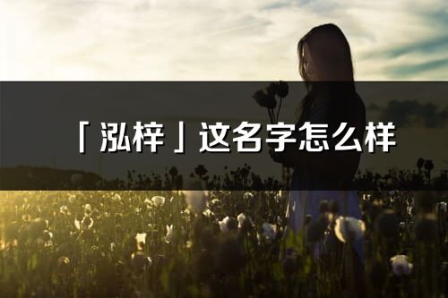 「泓梓」这名字怎么样_泓梓的名字解释