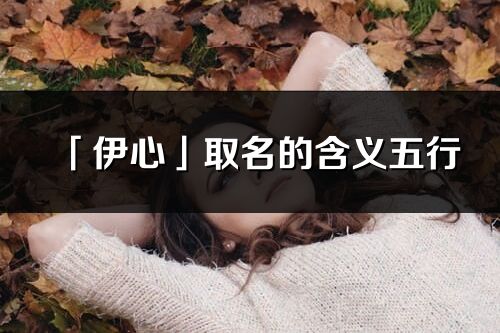 「伊心」取名的含义五行_伊心名字寓意解释
