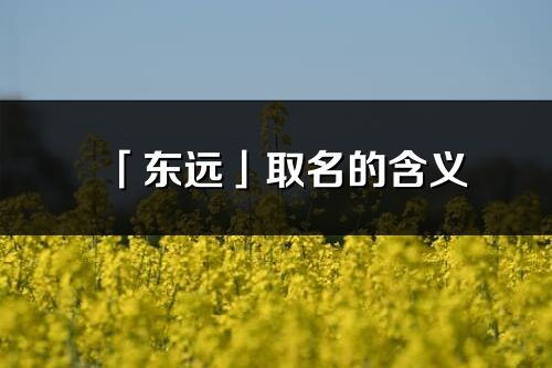 「东远」取名的含义_东远名字寓意解释