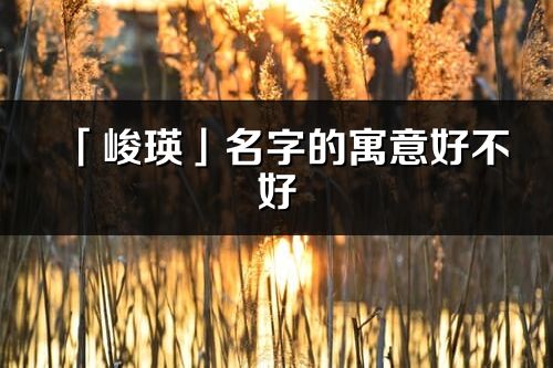 「峻瑛」名字的寓意好不好_峻瑛含义分析