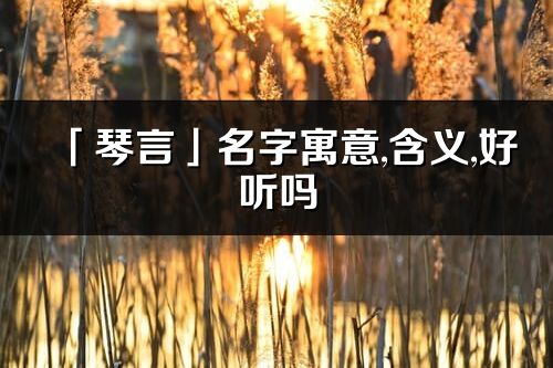 「琴言」名字寓意,含义,好听吗_琴言名字分析打分