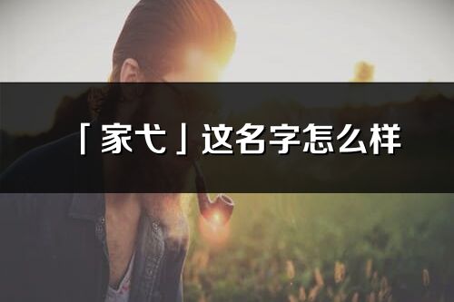「家弋」这名字怎么样_家弋的名字解释