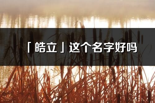 「皓立」这个名字好吗_皓立名字寓意,含义