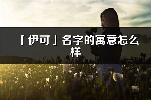 「伊可」名字的寓意怎么样_伊可的出处