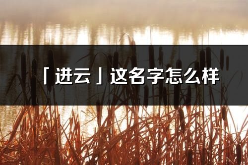 「进云」这名字怎么样_进云的名字解释