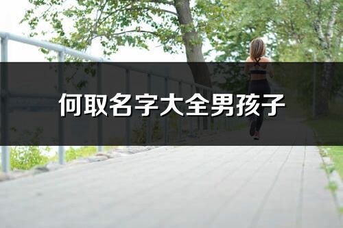 何取名字大全男孩子