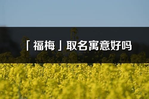 「福梅」取名寓意好吗_福梅名字含义及寓意