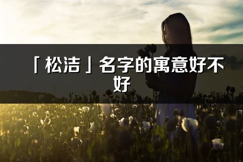 「松洁」名字的寓意好不好_松洁含义分析