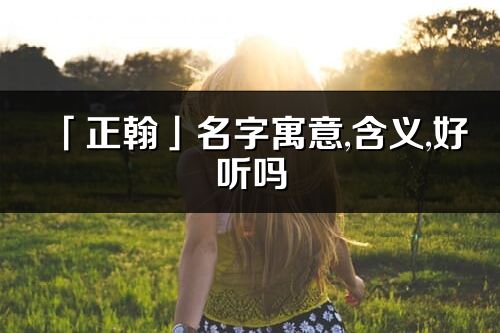 「正翰」名字寓意,含义,好听吗_正翰名字分析打分