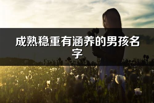 成熟稳重有涵养的男孩名字