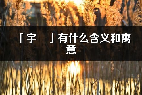 「宇玥」有什么含义和寓意_宇玥名字的出处与意思