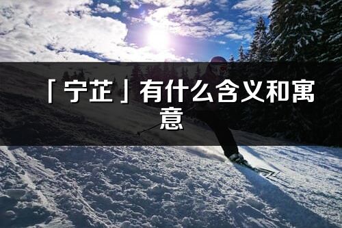 「宁芷」有什么含义和寓意_宁芷名字的出处与意思