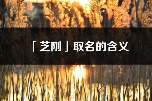 「芝刚」取名的含义_芝刚名字寓意解释