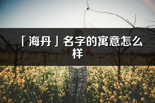 「海丹」名字的寓意怎么样_海丹的出处