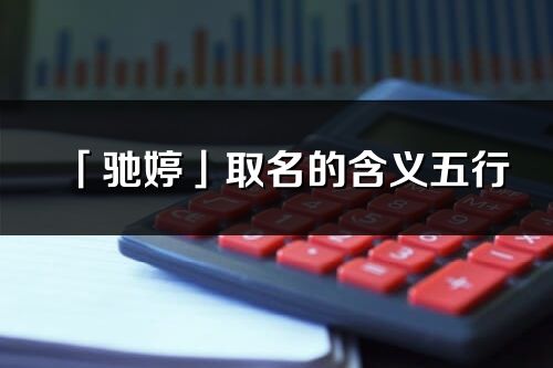 「驰婷」取名的含义五行_驰婷名字寓意解释