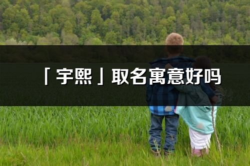 「宇熙」取名寓意好吗_宇熙名字含义及五行