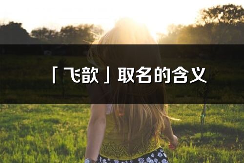 「飞歆」取名的含义_飞歆名字寓意解释