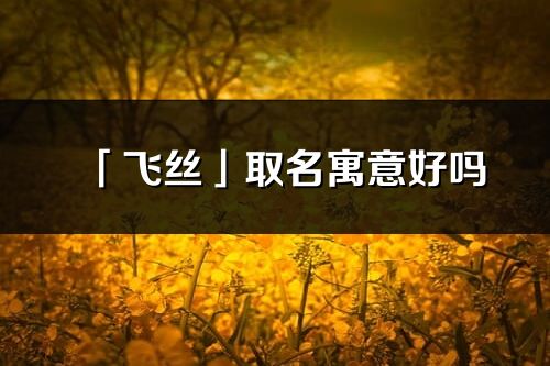 「飞丝」取名寓意好吗_飞丝名字含义及五行
