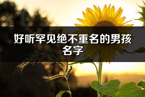 好听罕见绝不重名的男孩名字
