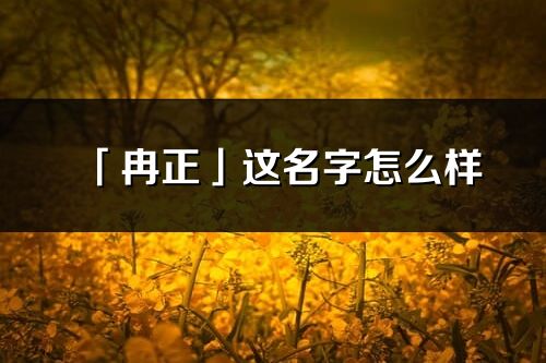 「冉正」这名字怎么样_冉正的名字解释
