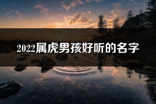 2022属虎男孩好听的名字
